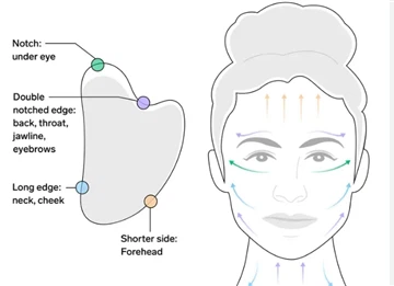 Le prove scientifiche dietro Gua Sha e i suoi potenziali benefici e rischi